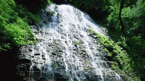 环保高标准